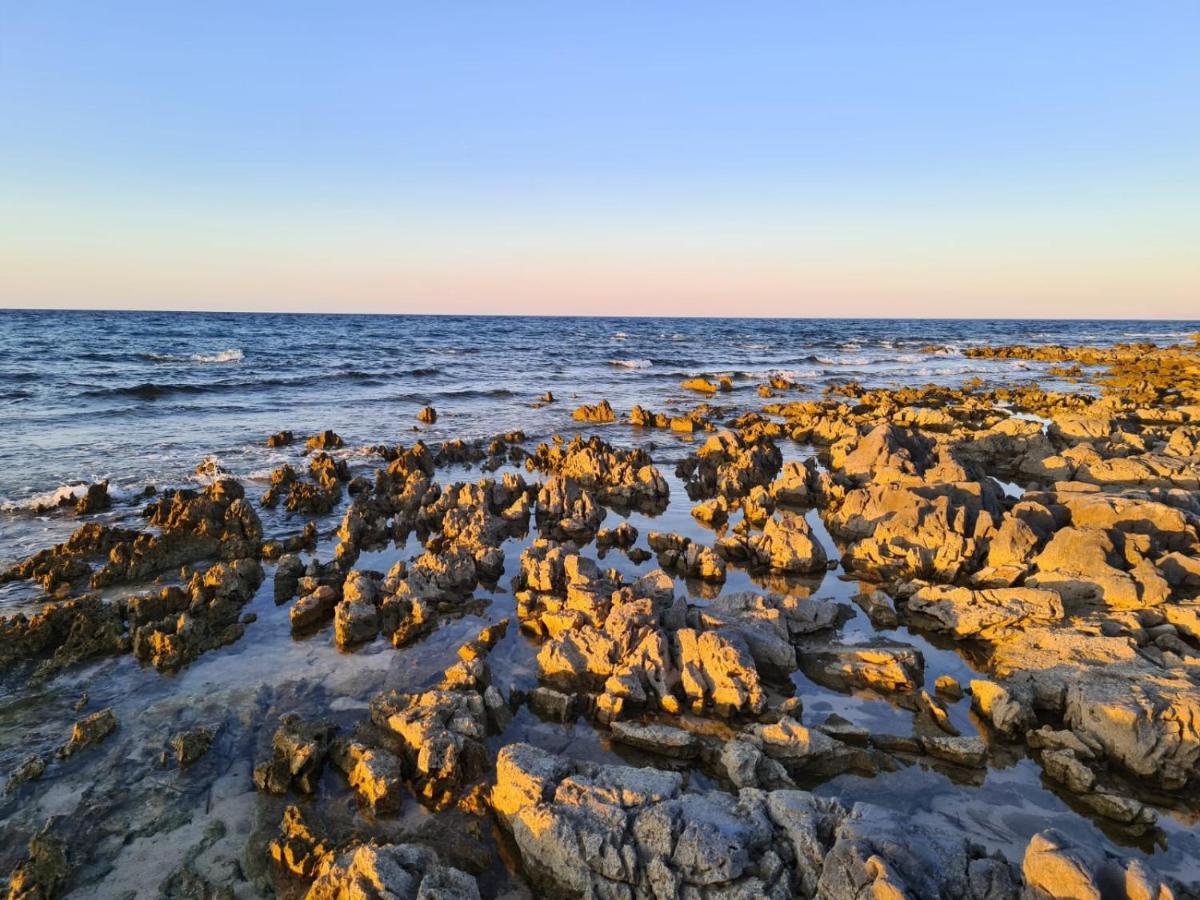 לינה וארוחת בוקר Torre Nubia Sole Mare Sale מראה חיצוני תמונה