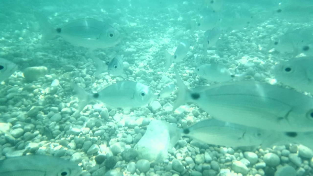 לינה וארוחת בוקר Torre Nubia Sole Mare Sale מראה חיצוני תמונה